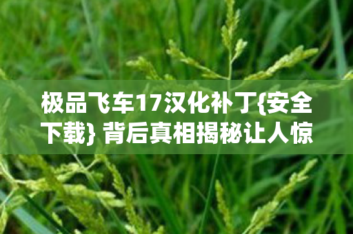 极品飞车17汉化补丁图片