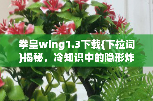 冷知识中的隐形炸弹大公开图片