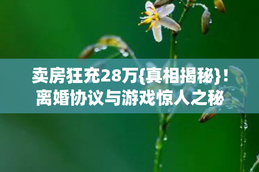 离婚协议与游戏惊人之秘图片