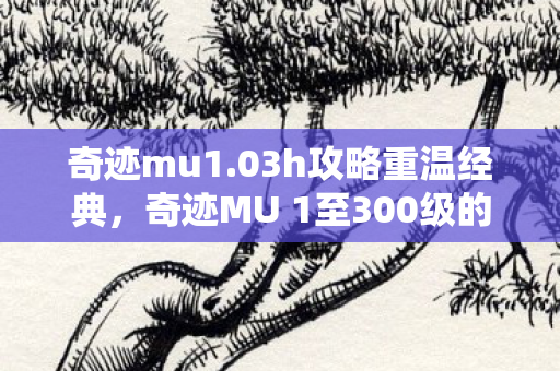 奇迹MU 1至300级的回忆与感悟图片