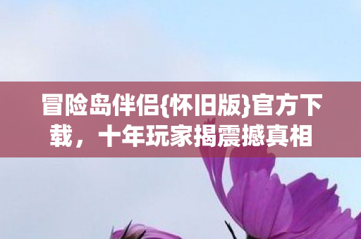十年玩家揭震撼真相图片