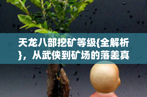 从武侠到矿场的落差真相图片