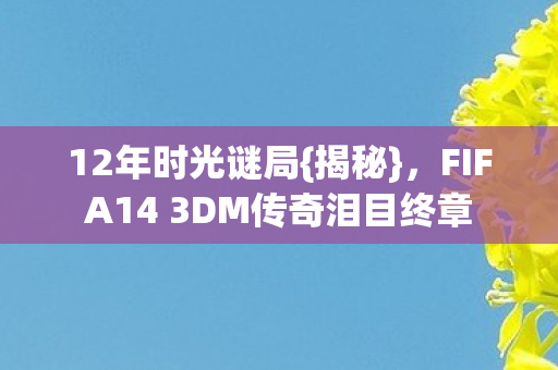 FIFA14 3DM传奇泪目终章图片