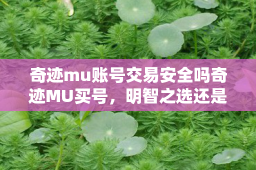奇迹mu账号交易安全吗奇迹MU买号图片