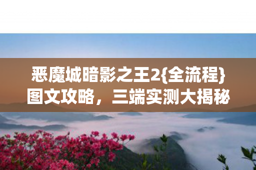 恶魔城暗影之王2图片