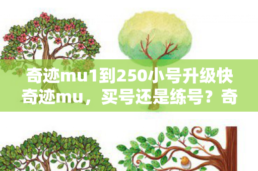 奇迹mu1到250小号升级快奇迹mu图片
