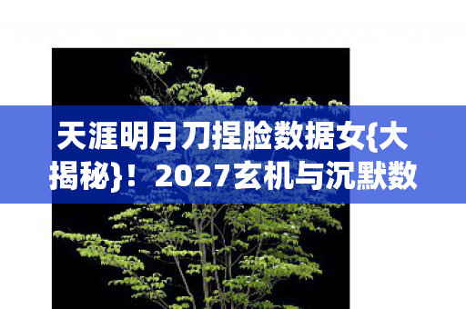 2027玄机与沉默数据之思图片