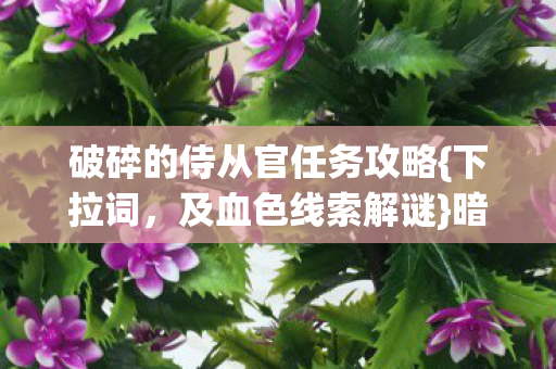 破碎的侍从官任务攻略图片