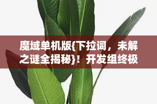 开发组终极伏笔老玩家泪目图片