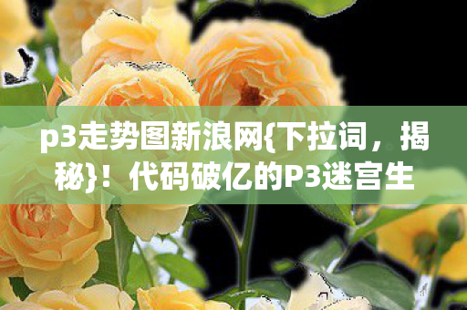 代码破亿的P3迷宫生存法则图片
