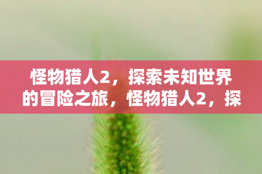 探索未知世界的冒险之旅图片