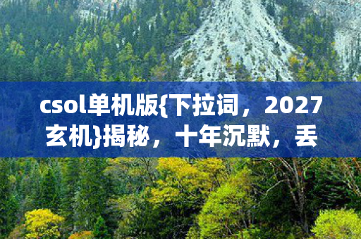 csol单机版图片