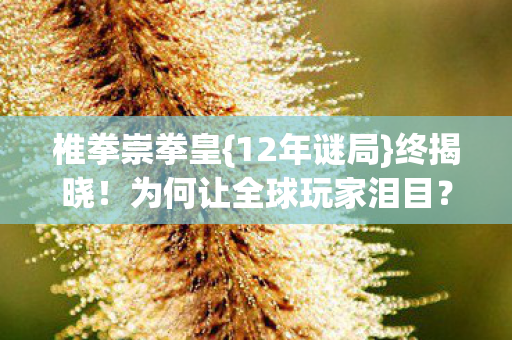 为何让全球玩家泪目图片