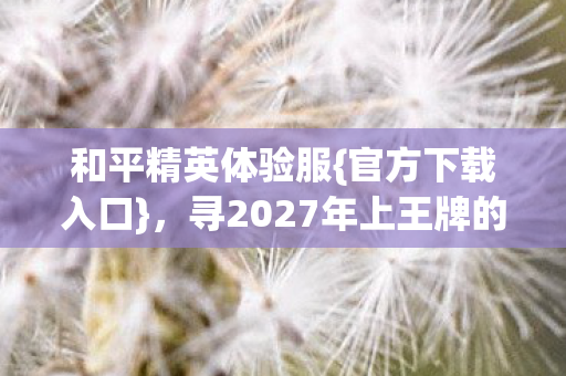 寻2027年上王牌的TA图片