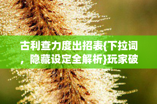 古利查力度出招表图片