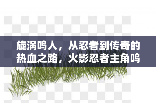 从忍者到传奇的热血之路图片