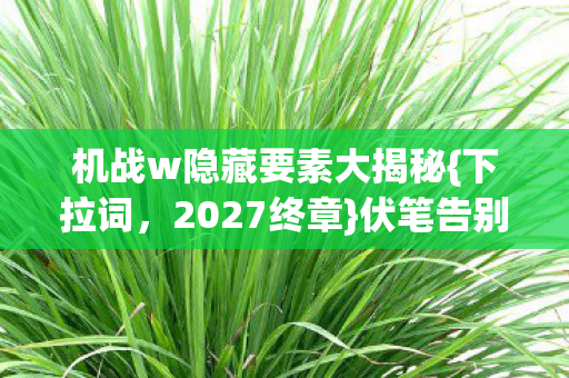 机战w隐藏要素大揭秘图片