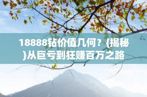 18888钻价值几何图片