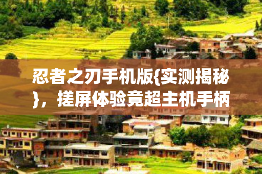 搓屏体验竟超主机手柄图片