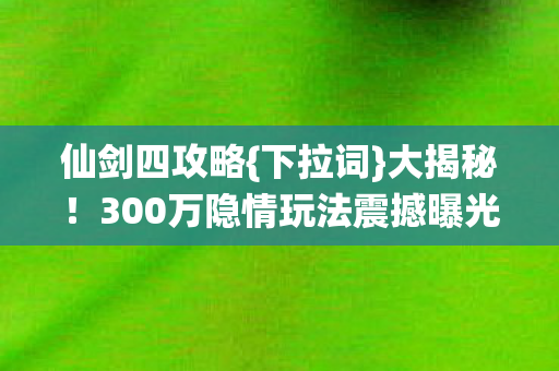 300万隐情玩法震撼曝光  共26字图片