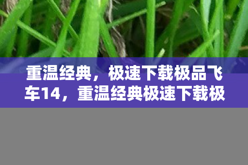 重温经典极速下载极品飞车14图片
