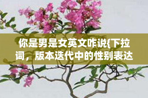 版本迭代中的性别表达图片