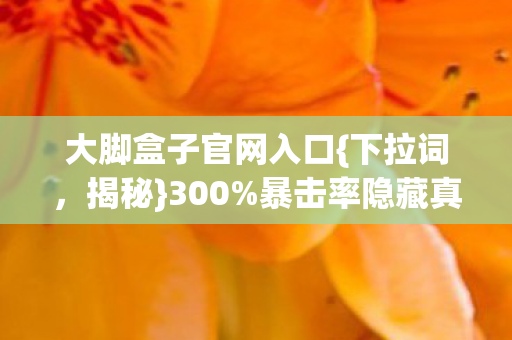大脚盒子官网入口图片