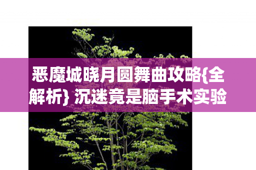恶魔城晓月圆舞曲攻略图片