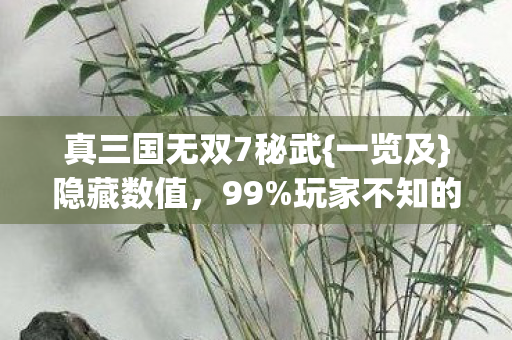 玩家不知的暴击玄机图片