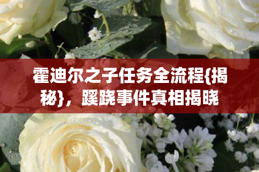 霍迪尔之子任务全流程图片