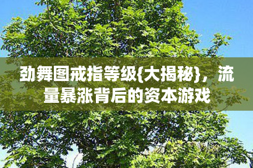 流量暴涨背后的资本游戏图片