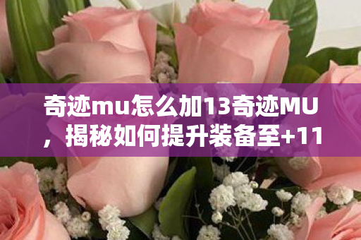 奇迹mu怎么加13奇迹MU图片