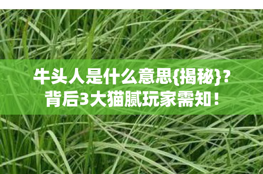 背后3大猫腻玩家需知图片