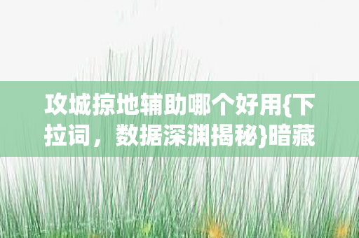 攻城掠地辅助哪个好用图片