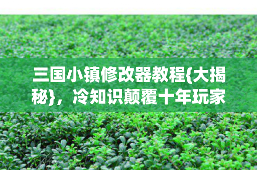 冷知识颠覆十年玩家认知图片
