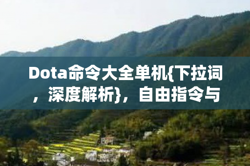 Dota命令大全单机图片