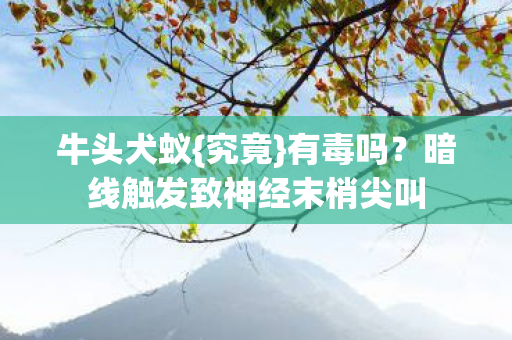暗线触发致神经末梢尖叫图片