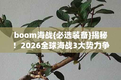 2026全球海战3大势力争霸图片