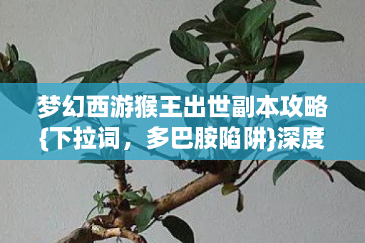 梦幻西游猴王出世副本攻略图片