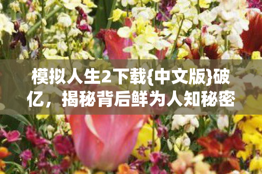 揭秘背后鲜为人知秘密图片