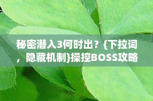 操控BOSS攻略揭秘图片