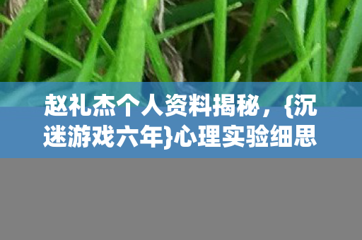 赵礼杰个人资料揭秘图片