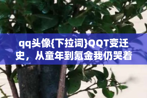 从童年到氪金我仍哭着重开图片