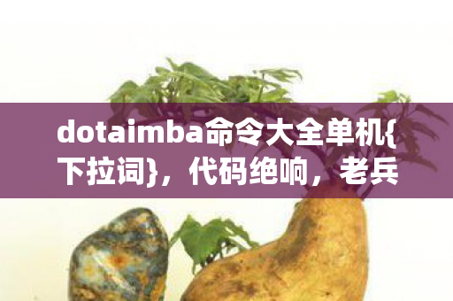 dotaimba命令大全单机图片