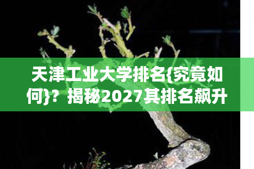 揭秘2027其排名飙升内幕图片