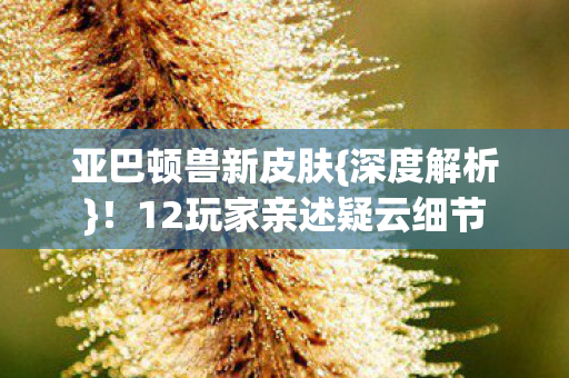 12玩家亲述疑云细节图片