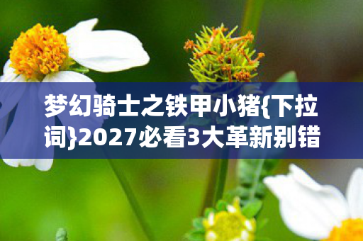2027必看3大革新别错过图片