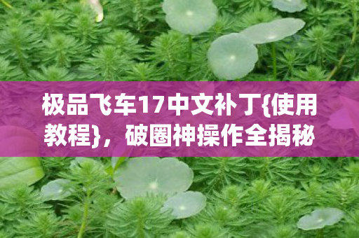 极品飞车17中文补丁图片