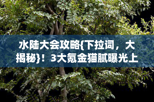 3大氪金猫腻曝光上头又下头图片
