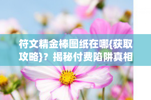 符文精金棒图纸在哪图片